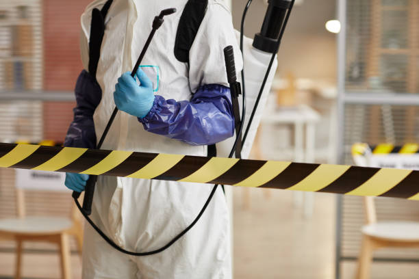 Professional Odor Removal technician working in Bayview, ID